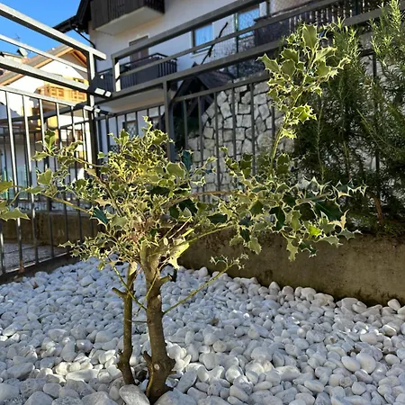 Casa La Croseta Lägenhet Trento