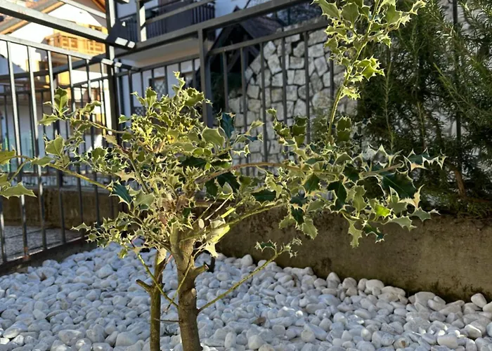 Casa La Croseta Апартаменты Тренто